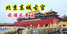 小骚逼性视频操后中国北京-东城古宫旅游风景区
